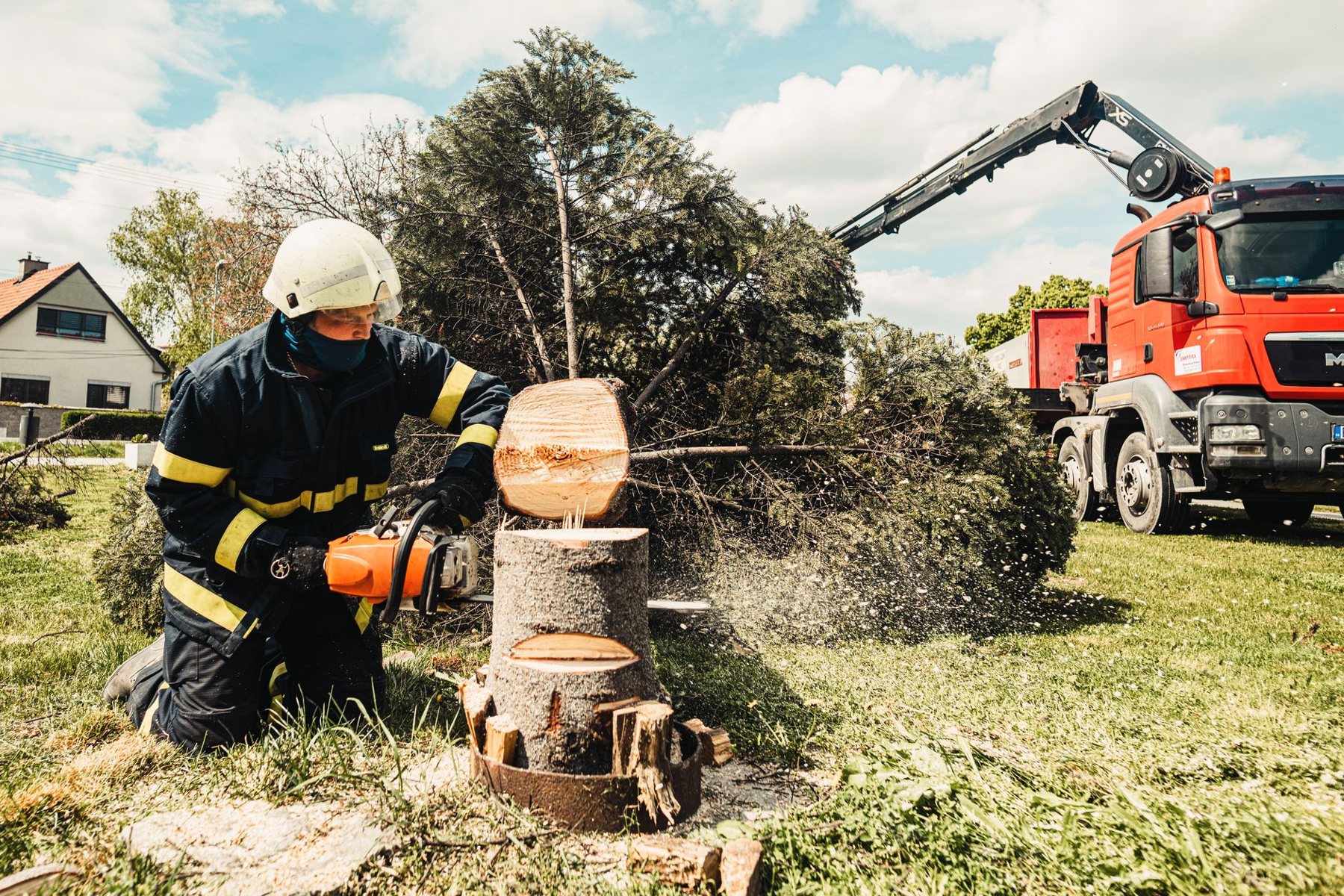 Tree Removal in Mesa AZ
